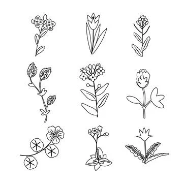 Isolated plants set Stock Illustration