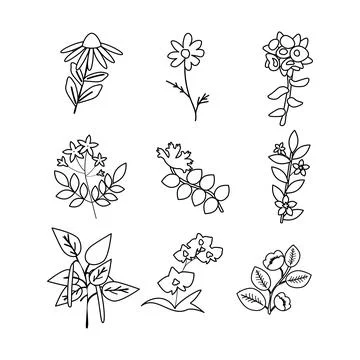 Isolated plants set Stock Illustration