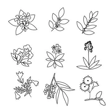 Isolated plants set Stock Illustration