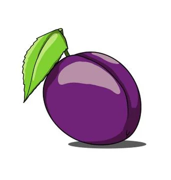 Isolated plum on white background Stock Illustration