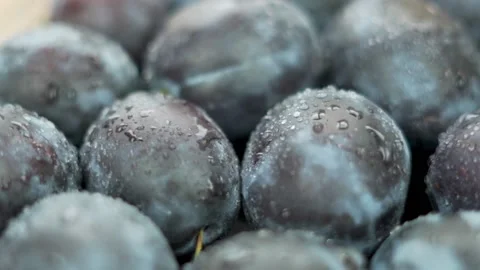 Isolated Plums Close-up.The Concept Of The Right Healthy Food Healthy And Season Stock Footage 135721935