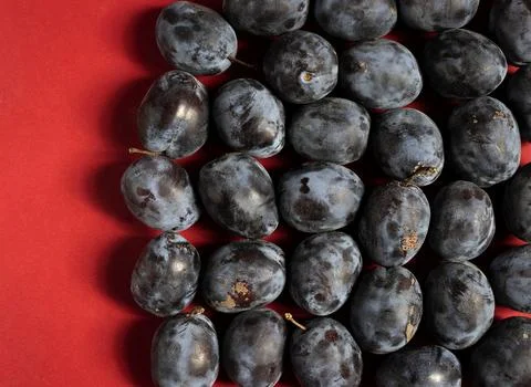 Isolated plums on red background Stock Photos