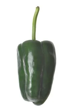 Isolated poblano pepper Stock Photos