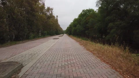 An Isolated, Poorly Maintained Tree-Lined Avenue, Void of People and Abandoned Stock Footage 276278782