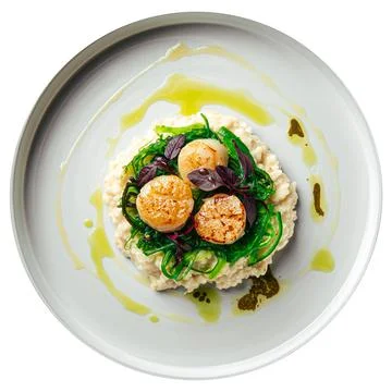 Isolated portion of risotto with scallops Stock Photos