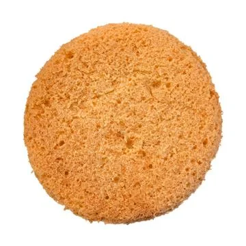 Isolated Pottery Sponge Stock-Fotos