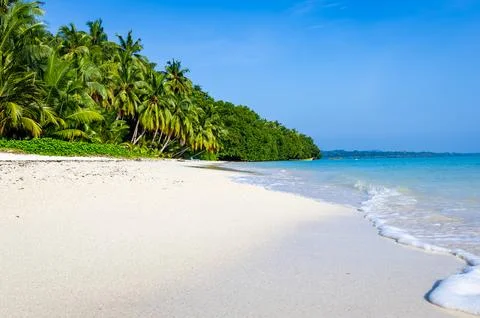 Isolated pristine white sand beach with rolling waves and bright blue sky 库存照片