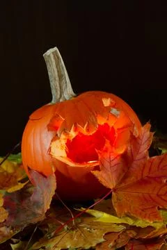 Isolated pumpkin lantern Stock Photos