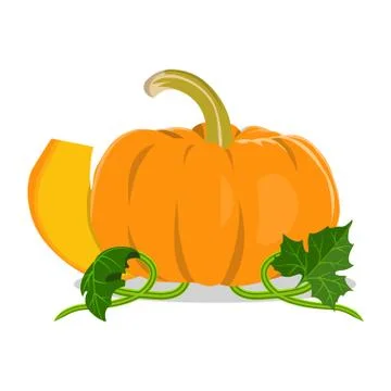 Isolated pumpkin on white background. Stock Illustration