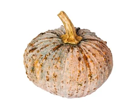 Isolated pumpkin on white Foto stock