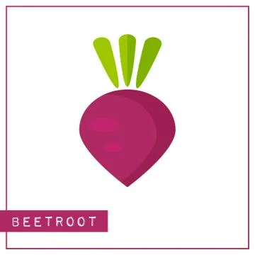 Isolated purple beetroot memory training card Stock Illustration