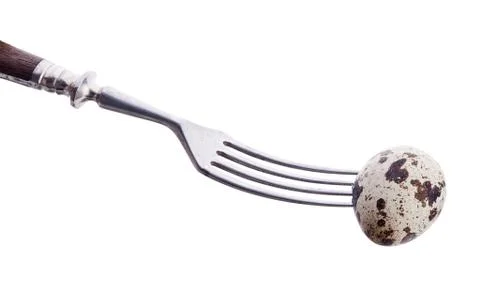 Isolated quail egg on fork on white background Stock Photos