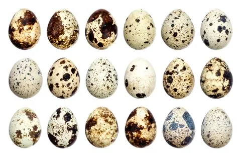 Isolated quail eggs. Foto stock