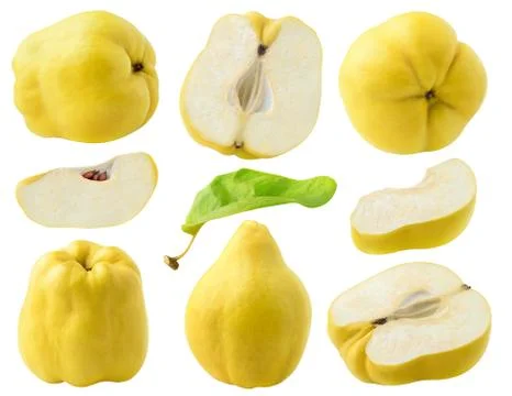 Isolated quince collection Stock Photos