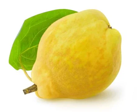 Isolated quince fruit Foto stock