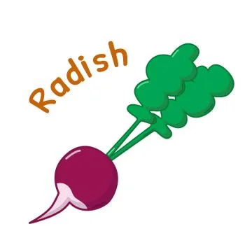 Isolated radish icon Stock Illustration