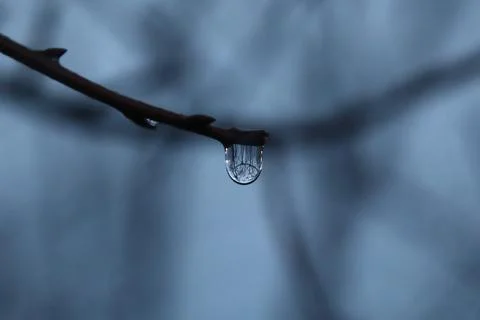 Isolated Raindrop Stock Photos