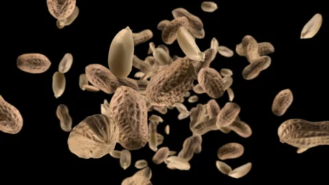 Isolated raw unshelled peanuts chunks exploding and flying in super slow motion Stock Footage 287342890