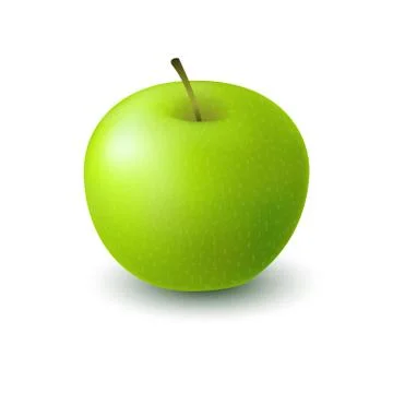 Isolated realistic colored green apple. Whole juicy fruit with shadow on whit Stock Illustration