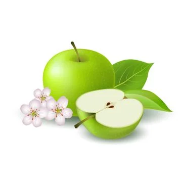 Isolated realistic colored green half apple and whole juicy fruit with white Stock Illustration