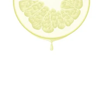 Isolated realistic colored half circle slice of yellow color juicy pomelo wit Stock Illustration
