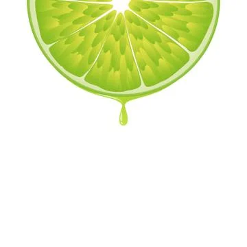 Isolated realistic colored half circle slice of green color juicy lime with d Stock Illustration