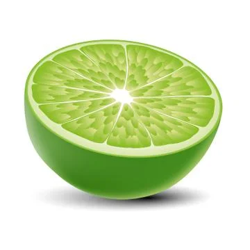 Isolated realistic colored half of green color juicy lime with shadow on whit Stock Illustration