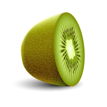 Isolated realistic colored half of green color juicy kiwi with shadow on whit Stock Illustration