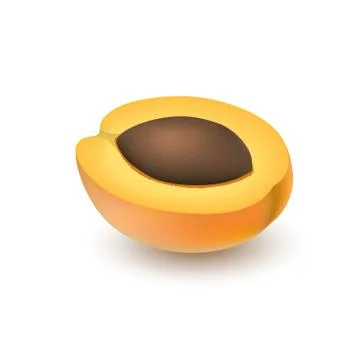 Isolated realistic colored half slice of juicy apricot with pit with shadow o Stock Illustration
