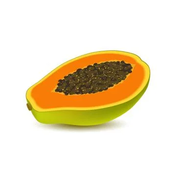 Isolated realistic colored half slice of juicy orange papaya, pawpaw, paw paw Stock Illustration