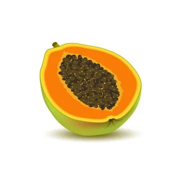 Isolated realistic colored half slice of juicy orange papaya, pawpaw, paw paw Stock Illustration