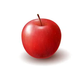 Isolated realistic colored red apple. Whole juicy fruit with shadow on white  Stock Illustration