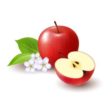 Isolated realistic colored red half apple and whole juicy fruit with white fl Stock Illustration