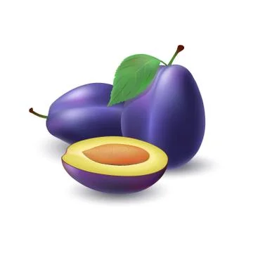 Isolated realistic colored two whole juicy purple plums with stick and leaf and Stock Illustration