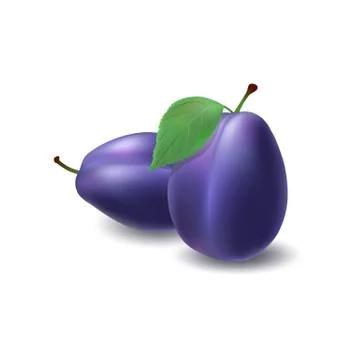 Isolated realistic colored two whole juicy purple plums with stick and leaf a Stock Illustration