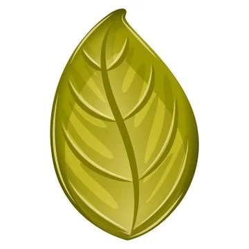 Isolated realistic leaf Stock Illustration