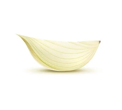 Isolated realistic yellow onion vegetable quarter Stock Illustration