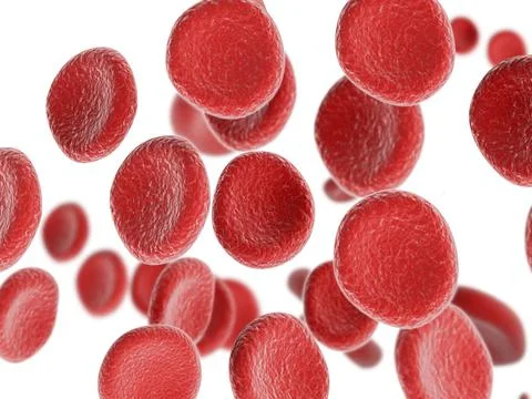 Isolated red bloodcell flow Illustrazione stock