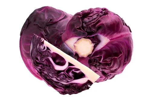 Isolated red cabbage Stock Photos