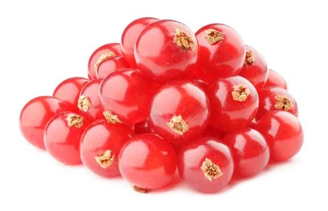 Isolated red currants Foto stock