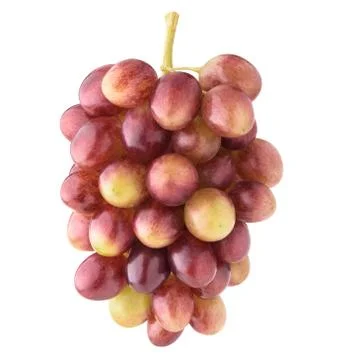 Isolated Red Globe grapes Foto stock