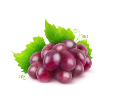 Isolated red grape Stock Photos