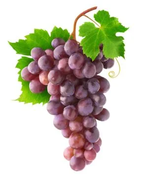 Isolated red grapes Stock Photos