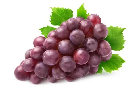 Isolated red grapes Stock Photos