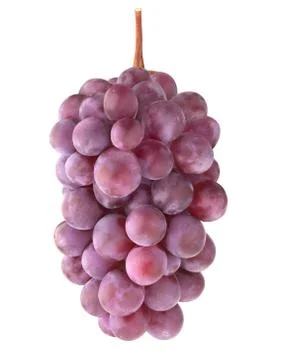 Isolated red grapes on a stem Stock Photos