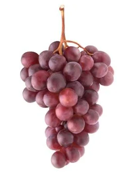 Isolated red grapes on a stem Stock Photos