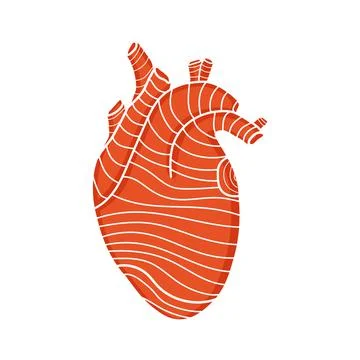 Isolated red human heart with lines. Stock Illustration