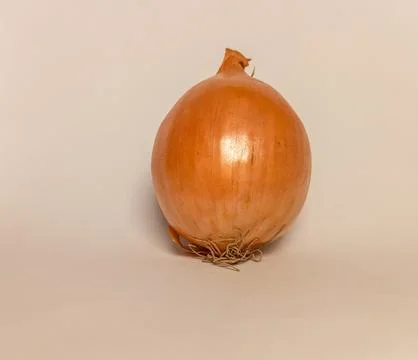 Isolated red onion Stock Photos
