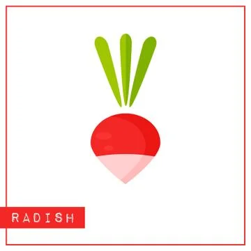 Isolated red radish memory training card Stock Illustration