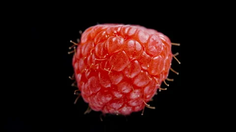 The isolated red raspberry rotates on a black background, looped. Stock Footage 270424659